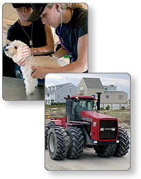 Veterinarians and farm tractor