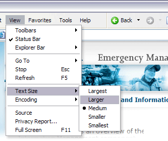 Screenshot of View menu in Internet Explorer