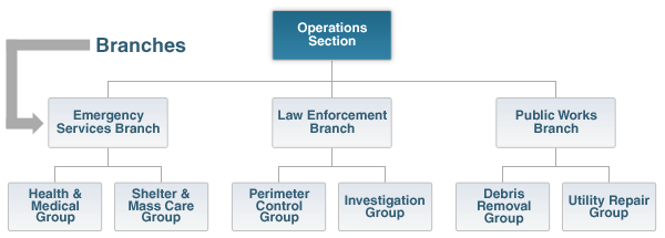 Organizational chart showing the Operations Section split into three branches: Emergency Services, Law Enforcement, and Public Works.  Within the Emergency Services Branch are the Health and Medical Group and Shelter and Mass Care Group.  Within the Law Enforcment Branch are the Perimeter Control Group and Investigation Group.  Within the Public Works Branch are the Debris Removal Group and Utility Repair Group.