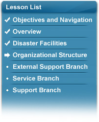 Lesson list highlighting Lesson 4: Organizational Structure