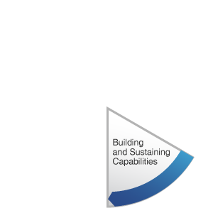 Building and Sustaining Capabilities