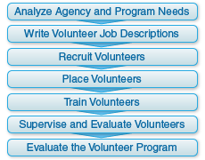 Graphic showing the seven-step model for developing a volunteer program: Analyze Agency and Program Needs, Write Volunteer Job Descriptions, Recruit Volunteers, Place Volunteers, Train Volunteers, Supervise and Evaluate Volunteers, Evaluate the Volunteer Program.