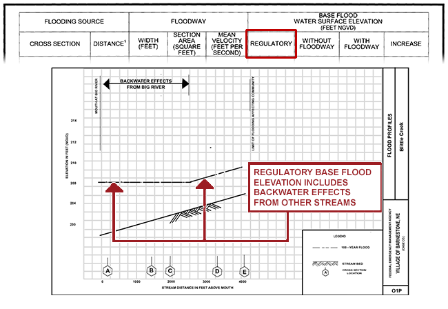 Shows how the Flood Data table Regulatory Base Flood Elevation Regulatory column includes backwater effects from other streams.