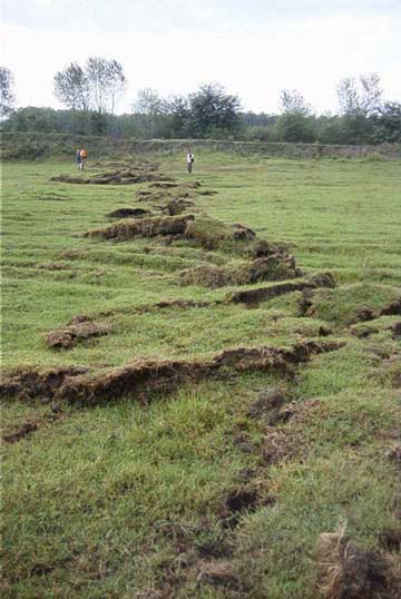 Ground rupture. Source: USGS