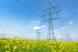 Photo of Power Lines and Field