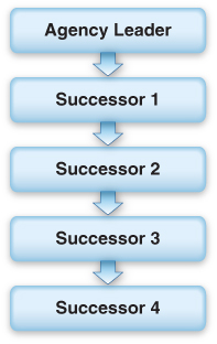 Graphic showing orders of succession, with the agency leader in the top box and four successors in the boxes beneath the agency leader.