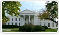 The White House - Photo