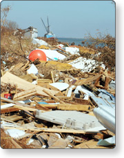 Debris along shoreline