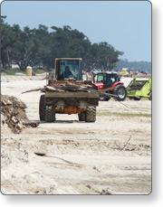 Debris cleanup operation along shoreline.