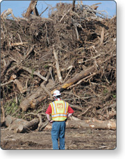 Worker approaching vegetative debris