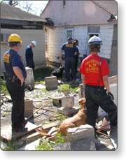 A group of rescuers search through debris