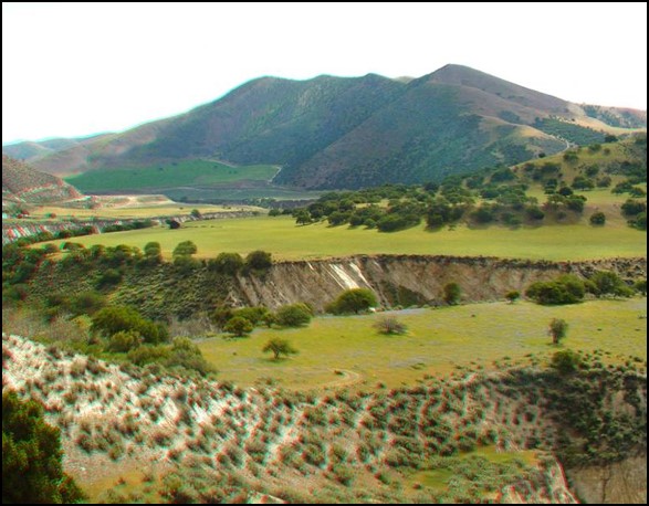 Image of floodplain/wetlands.