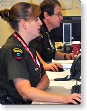 Employees working on computers