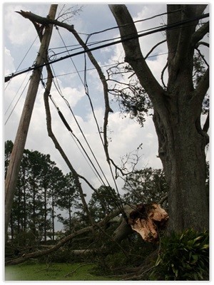 A downed telephone pole and broken tree limbs across electrical wires depicting common hangers the require removal.