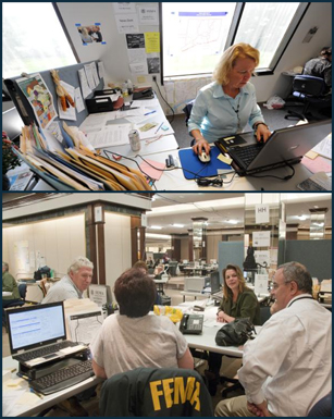 FEMA Employee Working On A Laptop At Her Desk In The Local JFO. FEMA ...