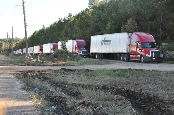 A long line of semi trucks on a country road.