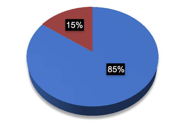 A pie chart with two sections, 15% and 85%.