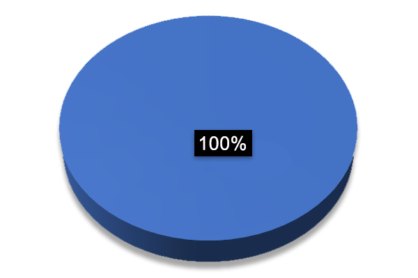 A pie chart with one section: 100%.