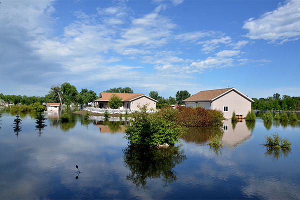 Residential area showing flooded houses with a few trees