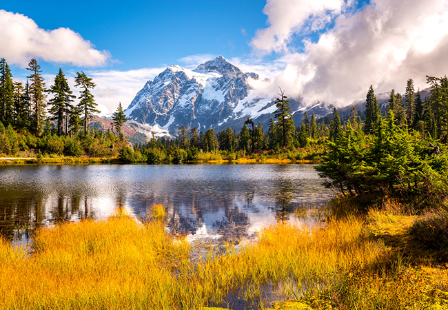 Trees around a lake near a snow-capped mountain.