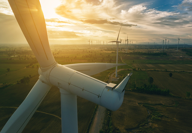 Wind turbines in an open field.