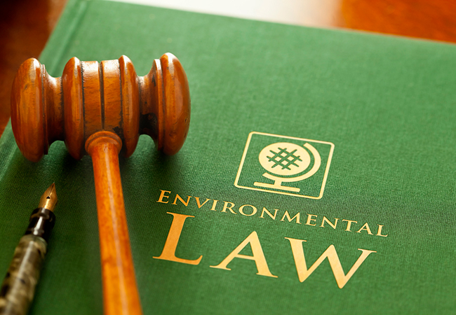 A gavel resting on a book titled "Environmental Law"