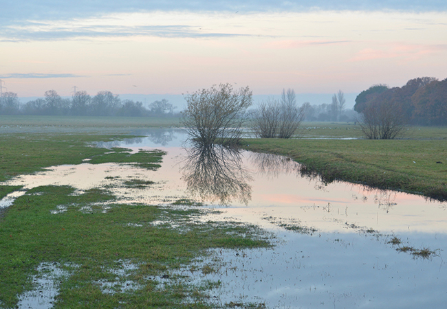 A flooded floodplain