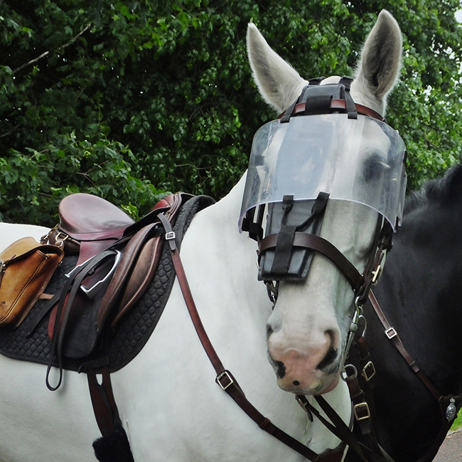 A white Police Horse with a visor and a saddle.