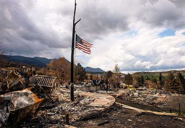 American flag flying on burned tree, burned homes from a wildfire