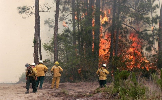 Five firefighters observe a forest fire as it burns through trees and brush.