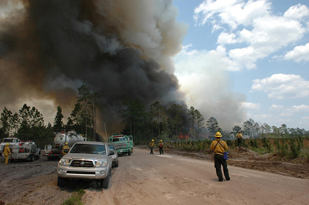 The Florida Bugaboo Fire rages out of control as firefighters wait for a helicopter to bring a load of water.