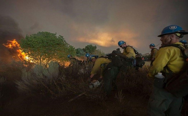 Firefighters battle the Sand Fire as it rages on in the Angeles National Forest outside Los Angeles, California.