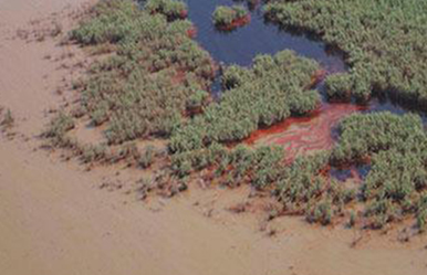 Aerial view of oil on the coastline