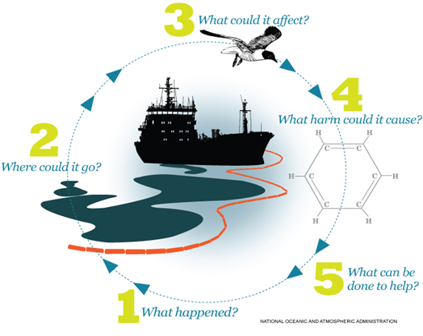 Graphic illustrating the process used by Scientific Support Coordinators