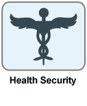 Health Security Icon