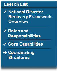 Checkmark next to National Disaster Recovery Framework Overview, checkmark next to Roles and Responsibilities, checkmark next to Core Capabilities, arrow next to Coordinating Structures.