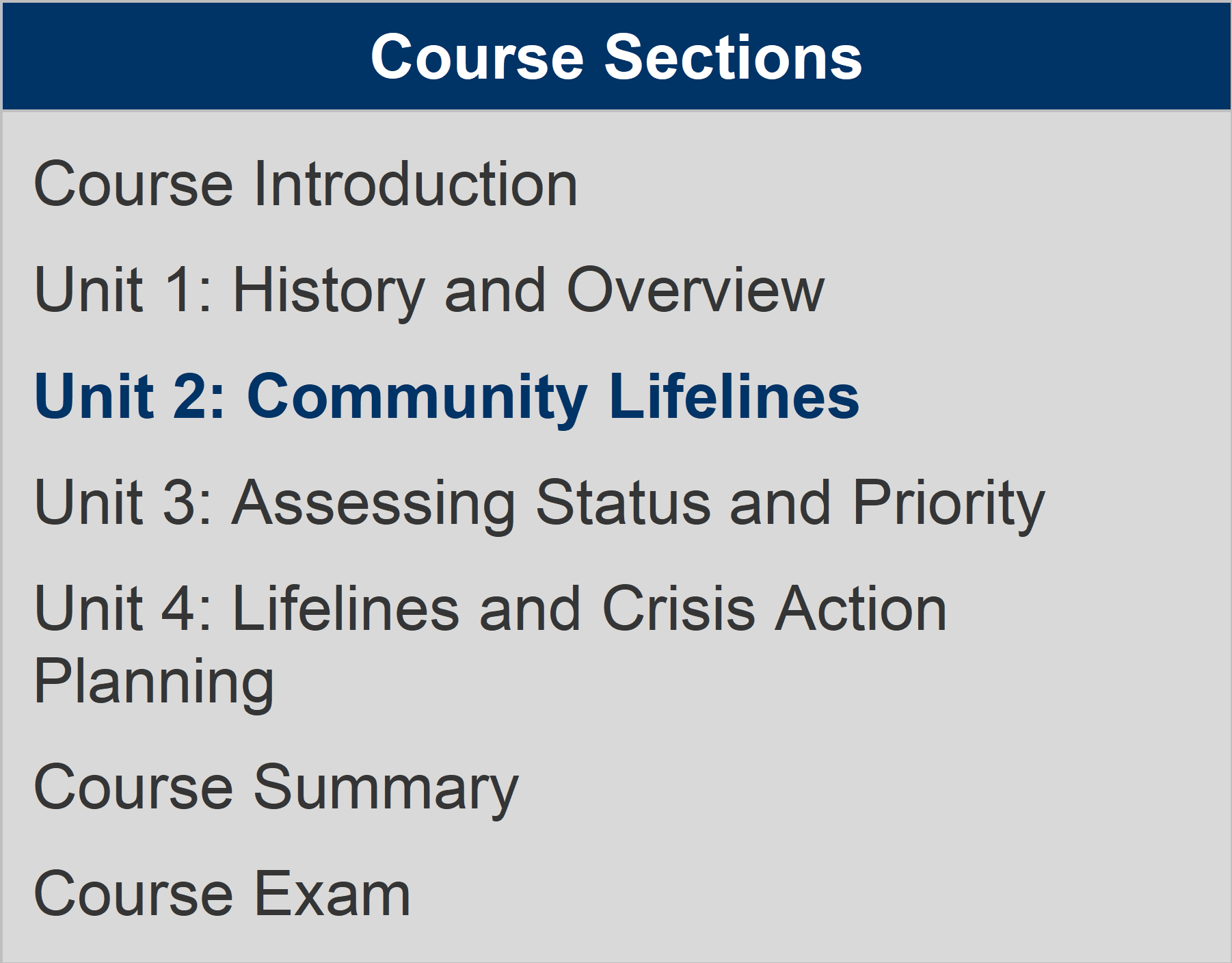 This image displays the current lesson to help students keep track of their progress. At this point, the student is on "Unit 2: Community Lifelines."