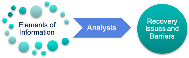 Elements of Information, Analysis, Recovery Issues and Barriers